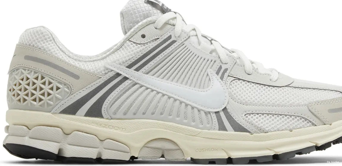 Tint Zoom Vomero Nike Platinum 5 0719